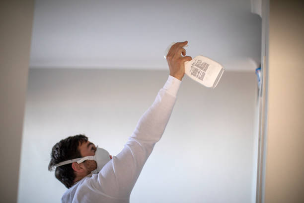 Best Mold Remediation for Schools in Caddo Mills, TX